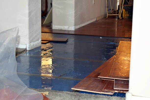 Professional Burst Pipe Cleanup technician working in Royse City, TX
